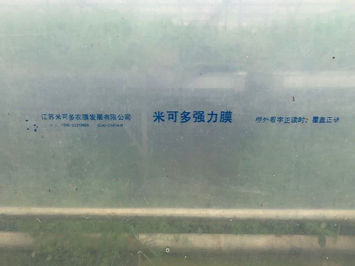 米可多強(qiáng)力膜